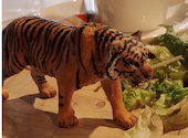 safari サファリ: ももりんさんの2026年05月04日の2枚目の投稿写真