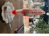 into you HIMEJI 姫路のヨーロピアンカフェ: はむちゃんさんの2026年08月18日の1枚目の投稿写真