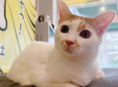 BAKENEKO CAFE バケネコ カフェ: megさんの2025年02月05日の1枚目の投稿写真