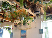 Brighton Cafe Bistro ブライトン カフェ ビストロ: kaekaeさんの2024年12月31日の1枚目の投稿写真