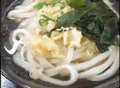 こがね製麺所 一宮店: しのちゃんさんの2026年06月30日の1枚目の投稿写真