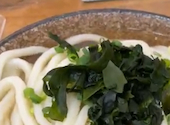 こがね製麺所 高松三谷店: しのちゃんさんの2026年06月30日の1枚目の投稿写真
