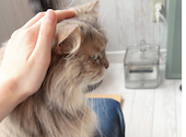ANIMAL Cafe and Bar mofutto: かのんさんの2026年04月の1枚目の投稿写真