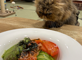 Cafe&Bar Manul マヌル: はるさんの2026年03月31日の1枚目の投稿写真