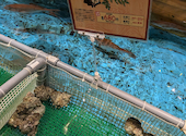 ジャンボ釣船 つり吉 難波店: Ataさんの2026年07月17日の3枚目の投稿写真