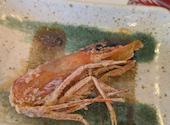 さかな屋の大衆食堂 まぐろのしん: Ataさんの2026年04月20日の2枚目の投稿写真