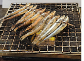 四十八漁場 エキニア横浜店: ミシナさんの2025年11月19日の3枚目の投稿写真