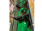 釣船茶屋 ざうお 横浜綱島店: Yさんの2026年05月04日の1枚目の投稿写真