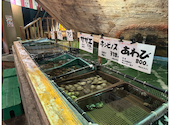 釣船茶屋 ざうお 横浜綱島店: Yさんの2026年05月04日の2枚目の投稿写真