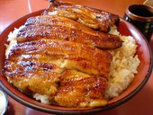 本町うなよし: ひろさんの2007年06月02日の1枚目の投稿写真