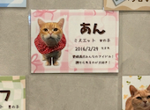 PARK72 ネコCAFE: こやさんの2026年10月07日の1枚目の投稿写真