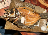 釣船茶屋 ざうお 横浜綱島店: ダドダさんの2026年08月25日の1枚目の投稿写真