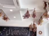 kokett cafe: おひるねこさんの2022年02月の1枚目の投稿写真
