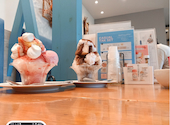 TAKCAFE italian dishes and cakes: あ～ちゃんさんの2026年08月17日の2枚目の投稿写真