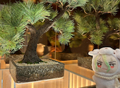 STONE Cafe ストーンカフェ: ハチワレさんの2026年04月02日の2枚目の投稿写真