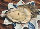 牡蠣ひよっこ商店 広島本店: saoriさんの2026年06月26日の1枚目の投稿写真