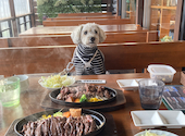 ZUNBURG GARDEN ズンバーグ ガーデン 砥堀店: ムーミンさんの2026年03月28日の1枚目の投稿写真