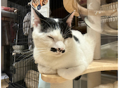 BAKENEKO CAFE バケネコ カフェ: たあさんの2026年06月05日の1枚目の投稿写真