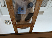 ANIMAL cafe and Bar mofutto: KAOさんの2026年06月13日の2枚目の投稿写真