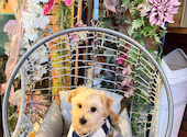 Italian cafe BAELU（イタリアンカフェ　バエル） : ちょこちゃんさんの2026年03月の1枚目の投稿写真
