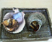 お食事処 ふる里館: かっちゃんさんの2009年02月19日の3枚目の投稿写真