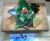 漁師料理みき 国分寺店: かっちゃんさんの2009年04月01日の3枚目の投稿写真