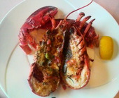 モンペリエオーヴェルジュ: かっちゃんさんの2008年11月14日の2枚目の投稿写真