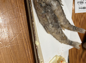 鮮魚と美酒そして釜めし　多楽福　柏: たこさんの2026年06月27日の1枚目の投稿写真