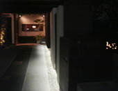 金魚 きんぎょ 薬院: カピバラさんの2008年02月17日の1枚目の投稿写真