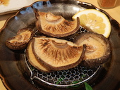 さどや: yokoheiさんの2014年02月17日の3枚目の投稿写真