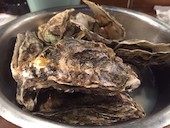 ビストロ魚丸 枚方市: み・な・こさんの2019年06月02日の1枚目の投稿写真