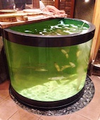 助格 湊町店: み・な・こさんの2014年01月29日の2枚目の投稿写真