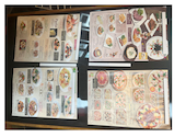 ピッツェリア 村井店: フサさんの2026年09月07日の2枚目の投稿写真
