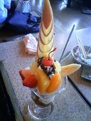 かくれんぼ: フームーあるぱかさんの2010年03月01日の3枚目の投稿写真