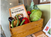 FARMERS GARDEN Cafe オムレット 大府allobu店: キャサリンさんの2026年03月12日の1枚目の投稿写真