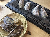 牡蛎処 桝政 ますまさ 室津本店: さゆさんの2019年04月14日の1枚目の投稿写真