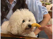 韓国料理 クムカフェ: はなちゃんさんの2026年08月30日の1枚目の投稿写真