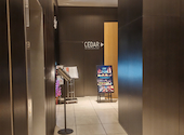 セダー ザ チョップハウスアンドバー CEDAR THE CHOP HOUSE&BAR: Kさんの2026年04月18日の3枚目の投稿写真