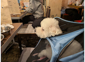 食堂居酒屋 どいちゃん 吉祥寺本店: kさんの2026年10月10日の1枚目の投稿写真