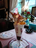 ペパーミントハウス: うらんさんの2008年06月11日の2枚目の投稿写真