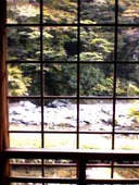 元栂ノ家: KEIさんの2010年11月11日の2枚目の投稿写真