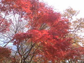 香住 山上店: KEIさんの2010年11月28日の3枚目の投稿写真