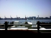 海王: KEIさんの2010年03月18日の2枚目の投稿写真