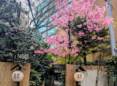 赤坂うまや: ピノコさんの2026年03月24日の3枚目の投稿写真