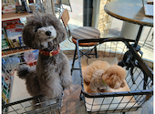 UNO cafe ウノカフェ: うおとらまんさんの2026年04月22日の3枚目の投稿写真