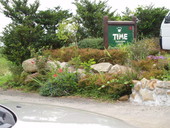 cafe TIME: おやまんさんの2007年05月17日の3枚目の投稿写真