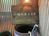一條の森ココチ: キヨさんの2026年06月06日の1枚目の投稿写真