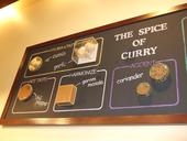 カレー研究所: ａｙａさんの2008年10月03日の3枚目の投稿写真