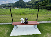 OneOneCafe: sachiさんの2026年06月30日の1枚目の投稿写真