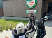 OneOneCafe: sachiさんの2026年06月30日の2枚目の投稿写真
